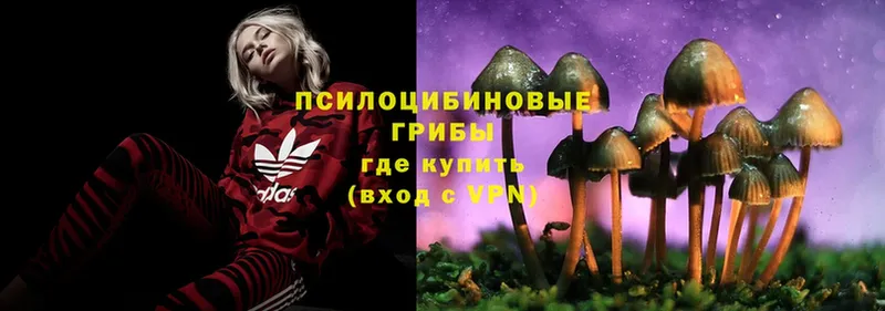 нарко площадка как зайти  Калуга  Галлюциногенные грибы MAGIC MUSHROOMS 